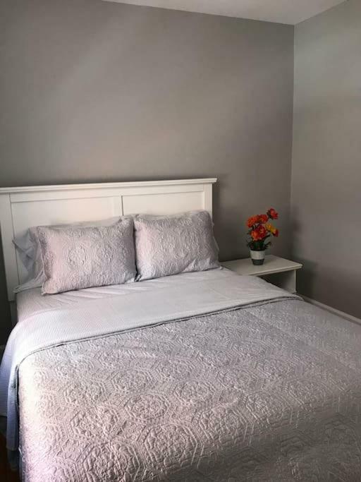 Bright, Clean, Private. In The Heart Of Downtown! Parking, Wi-Fi And Netflix Included Apartment Ottawa Bagian luar foto